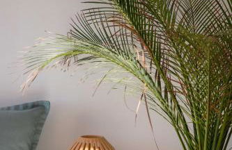 Euphoria Suites and Spa - Foto 18