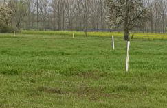 Ferienwohnung Happy - Photo 21