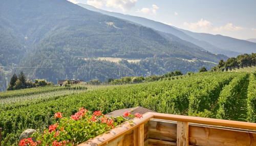 Residence Schiestlhof - Foto 5