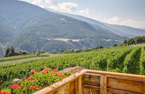 Residence Schiestlhof - Photo 5