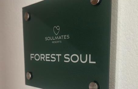 Soulmates Resorts - Feldberg - Foto 42
