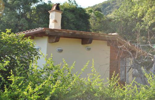 Azienda Agricola Biologica La Cardellina - Foto 64