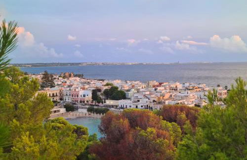 SEA FRONT, Allegria, Santa Maria al Bagno - Foto 24
