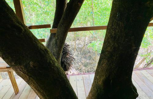 FM Retreat Algodoal - Foto 24