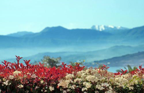 Cavos Fokidos - Foto 75