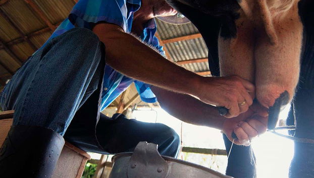 Farm Ranch Tour - Foto 3