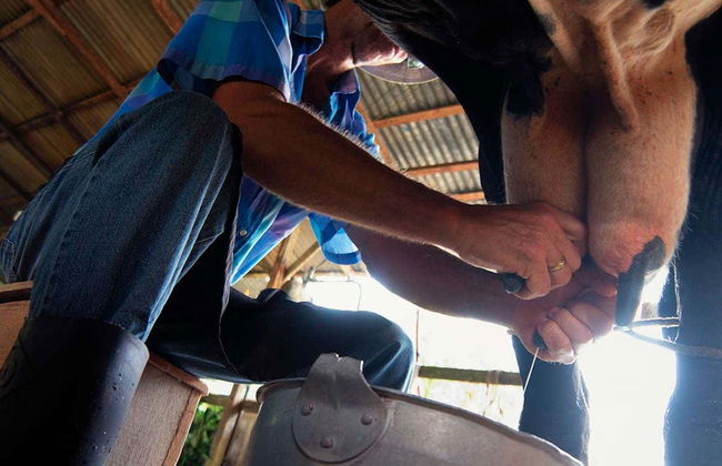 Visita a uma fazenda - Foto 3