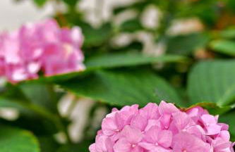 Apt Oasis LuxuryRentalsMurcia - Foto 24