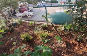 Apartments Vlado - Foto 23