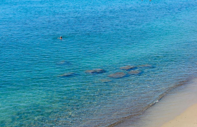 Pollon Inn Sanremo - Foto 23