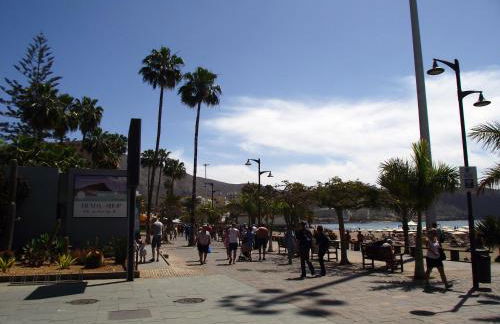 Parque Tropical I - Photo 48