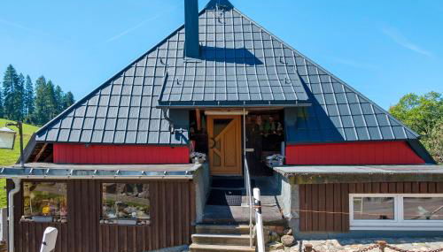 Grundhäusle Gütenbach - Foto 2