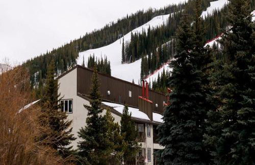 MTN View - Close to Lifts - Heated Pool - Copper - Foto 50