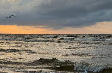 Amber Coast - Domki w Jantarze - Foto 28