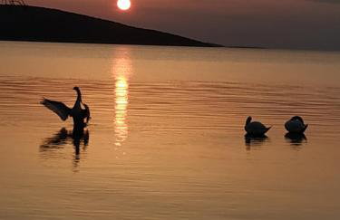 Marmari megali ammos oasis studio's - Photo 34