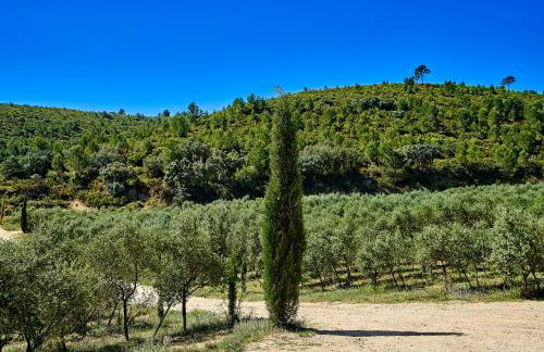 Masia Heredad La Boquilla - Foto 95