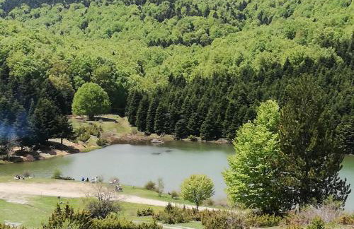 Olympus Country House - Foto 34