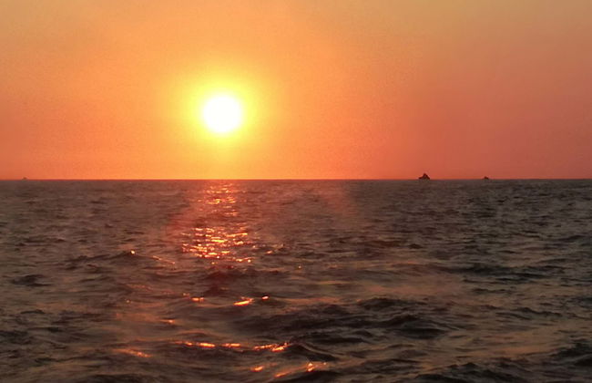 Ixtapa Zihuatanejo Sunset Cruise - Photo 1