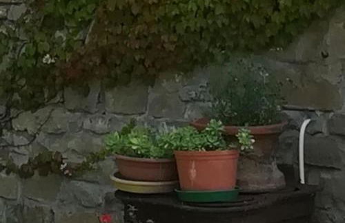 Cottage a Bossolasco con piscina - Foto 30