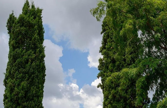 Agriturismo Pretenzano - Photo 53