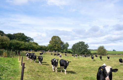 Architect-Designed Rural Cabin - Year Round Retreat - Foto 22