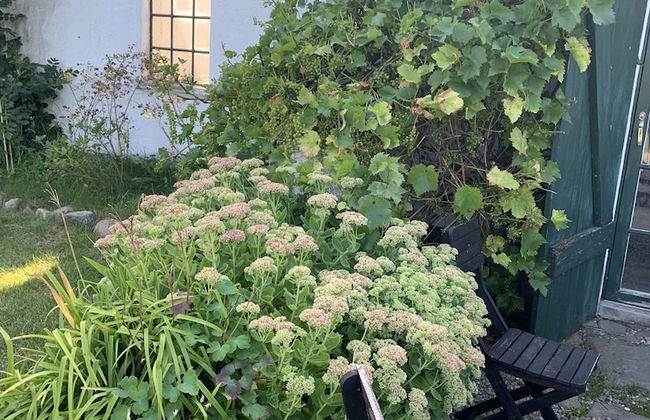 Bäddar & Ängar - Photo 28