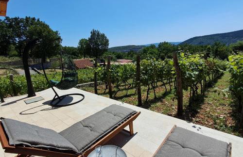 Vineyard house - Foto 11