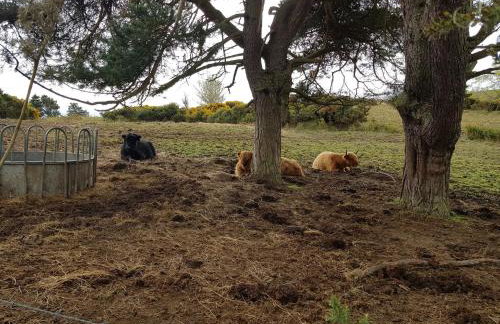 Black Isle Holiday Apartments - Foto 26