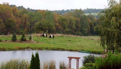 Gorgeous Getaway Suite in a Converted Barn near Hudson, New York - Foto 2