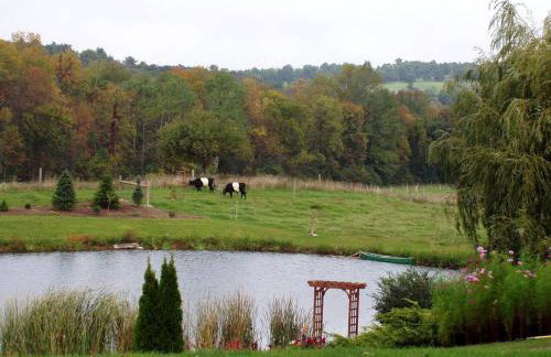 Pet-Friendly Vacation Rental on a Working Farm near Hudson, New York - Foto 11