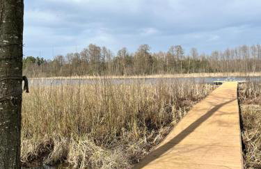 Niebieski Domek nad jeziorem Mazurskie klimaty - Foto 34