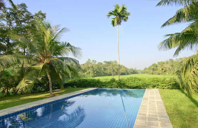 Ivory House - Foto 39