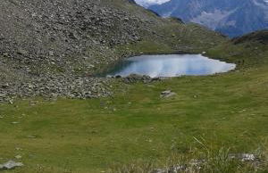 Appartamenti Presanella - Foto 28