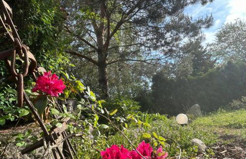 Pod Wierzbą Apartament na Kaszubach - Foto 18