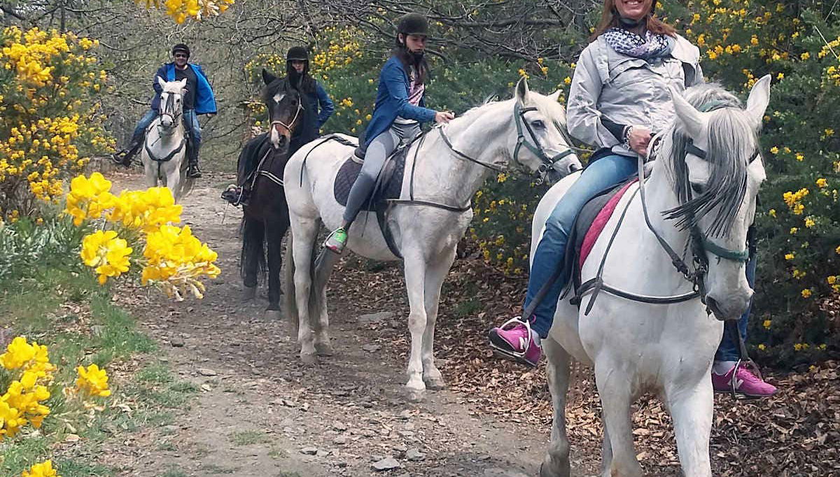 Horse riding around La Alpujarra