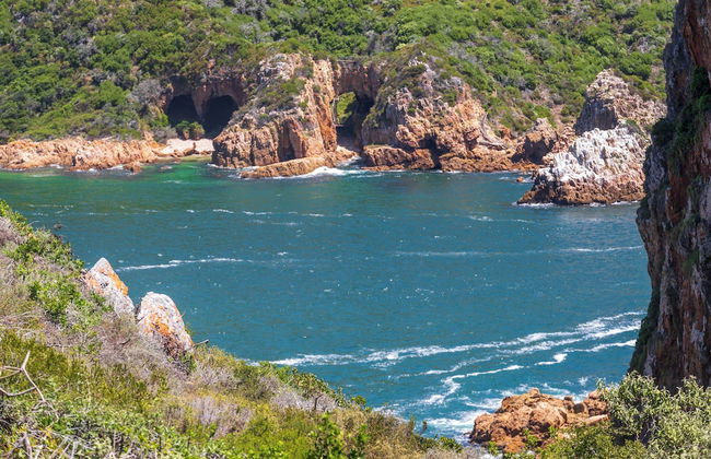 Phillip Villa - Foto 33