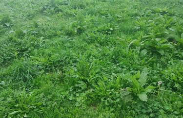 Ferienhaus Valle Verde in Kall-Steinfeld - Foto 28