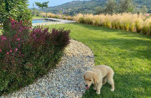 Laserrafelice - Photo 36