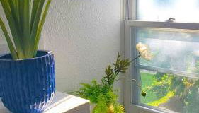 Ana Maria del Corona - Foto 3