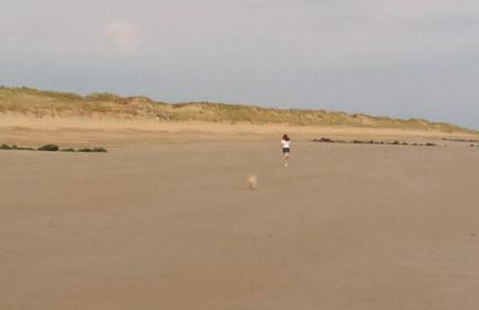 Aux Mouettes les pieds dans l'eau accès direct à la place 5 personnes - Foto 18
