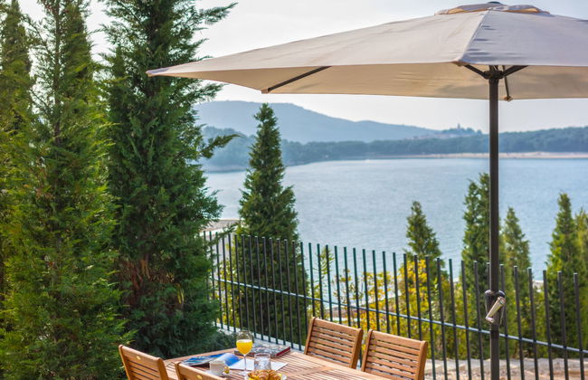 Golden Ray - Foto 15