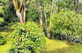 Loft aconchegante - Foto 22