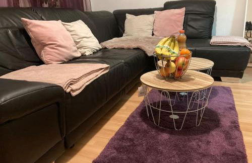 Apartment am Rhein ganze Wohnung NETFLIX Internet 1000 Mbits, free Parking - Foto 4