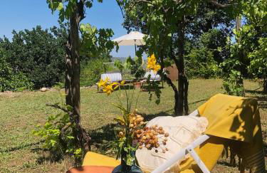 Effimera - Relaxing Retreat - Foto 41