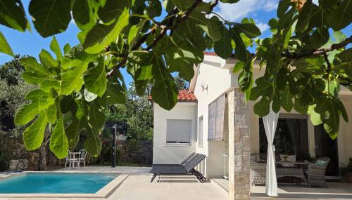 Luxury villa NEVERA with private pool & fenced garden, 1 km from the beach - Photo 4