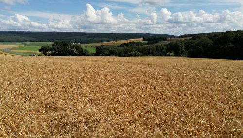 Ferienwohnungen Am Kapellenberg Losheim am See - Foto 2