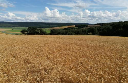 Ferienwohnungen Am Kapellenberg Losheim am See - Foto 2