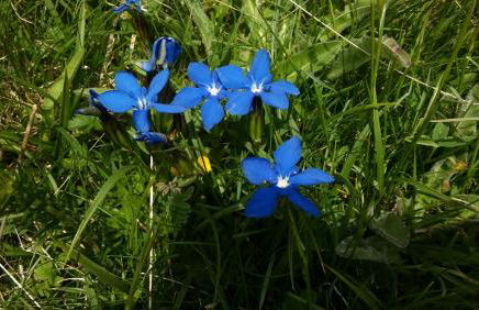 Cal Rosetó - Foto 13