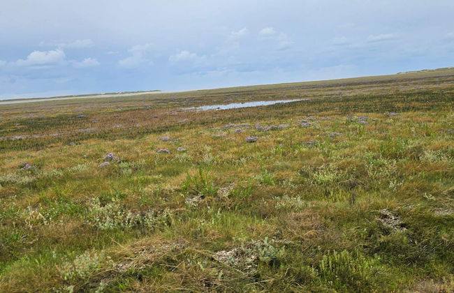 6 Person Holiday Home in Romo - Foto 9