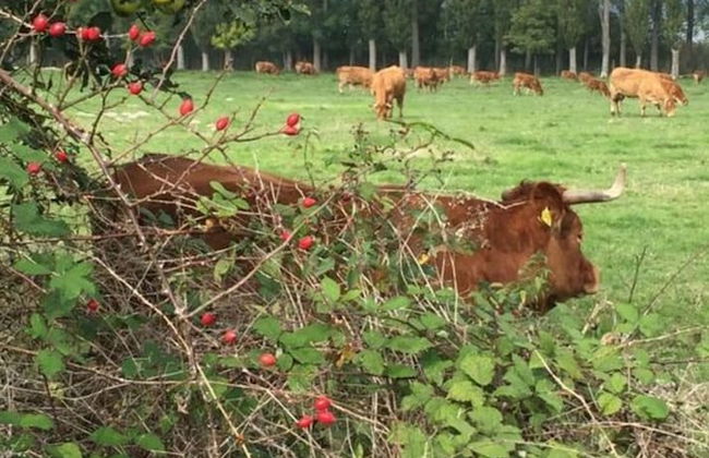 Panoramic View Comfortable Holiday Residence - Photo 18